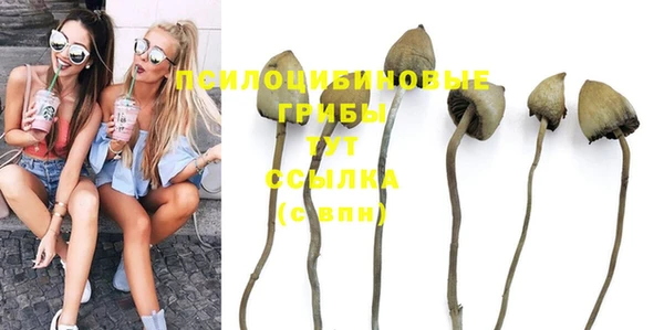 тгк Михайловка