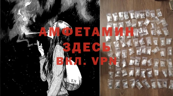мдпв Михайлов