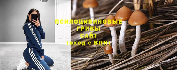 мдпв Михайлов