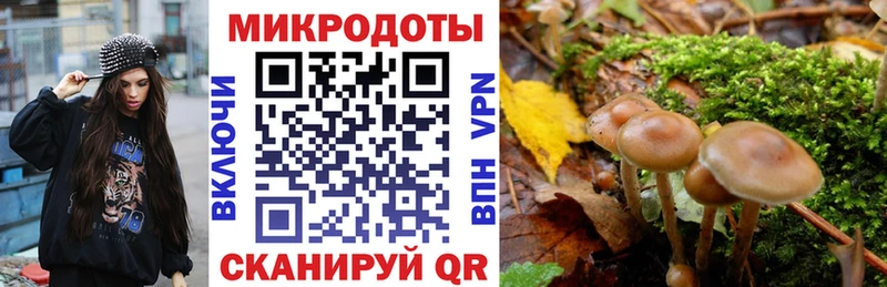 купить наркоту  Чита  Галлюциногенные грибы GOLDEN TEACHER 